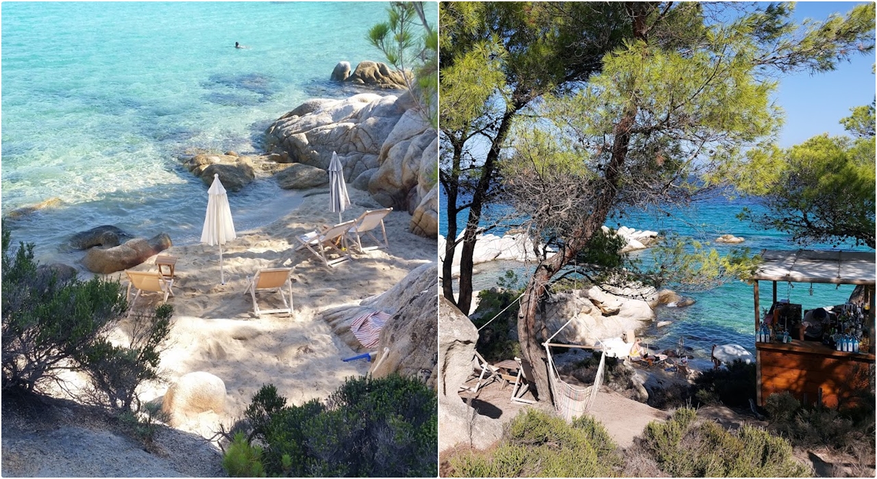  Kavourotripes Paradise Sitonija 